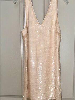 Sleeveless Sequin V-Neck Shift Dress - Champagne